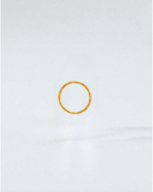 Odonata gold-plated stainless steel clicker hoop earring, 12mm diameter, 16g gauge, for a minimalist look.