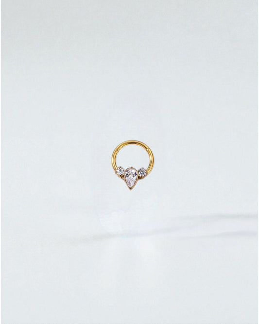 Odonata gold implant grade titanium clicker hoop earrings with clear cubic zirconia gems. Styles 1-7 shown.