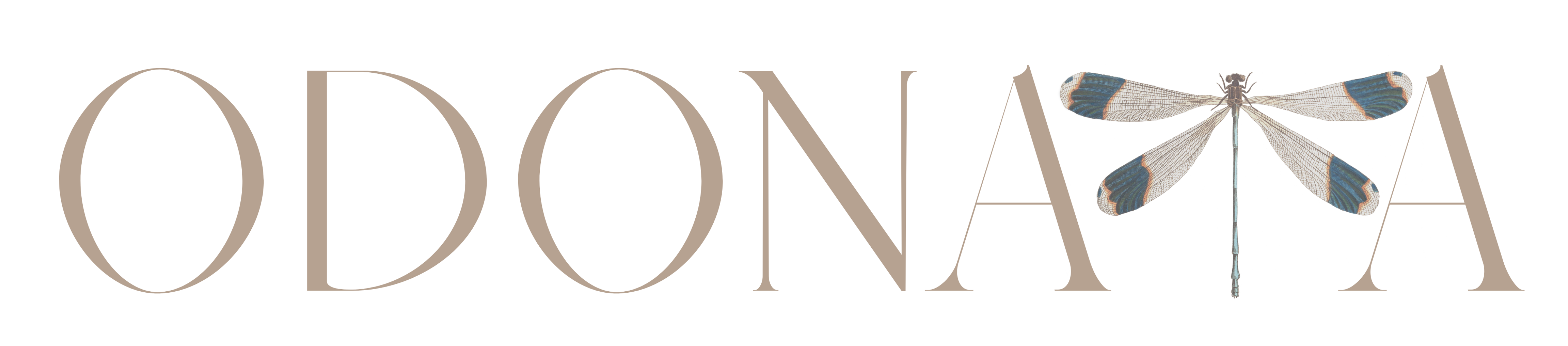 Estudio Profesional de Perforaciones y Joyería – Odonata